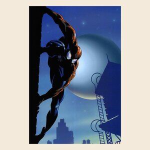 Spider-Man Spider Man SpiderMan Comics Poster_ 165